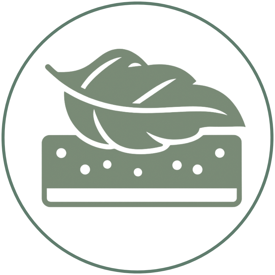 Alt Image